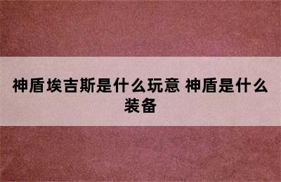 神盾埃吉斯是什么玩意 神盾是什么装备